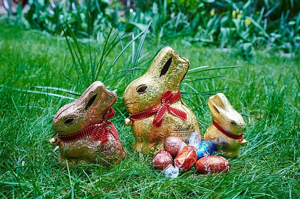 Der «Goldhase» ist nicht selten in Osternestern zu entdecken. (Symbolbild) - © Annette Riedl/dpa