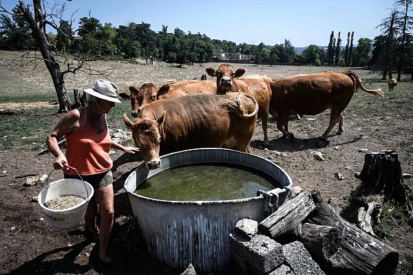 Die große Trockenheit macht in Frankreich insbesondere den Landwirten zu schaffen. - © Jean-Philippe Ksiazek/AFP/dpa