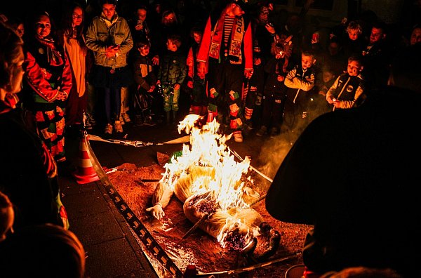 Karnevalisten verfolgen die Verbrennung des Nubbels in Köln. - © Oliver Berg/dpa