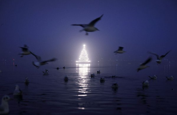 Künstliche Beleuchtung beeinflusst das Verhalten von Vögeln. (Archivbild) - © Christian Charisius/dpa