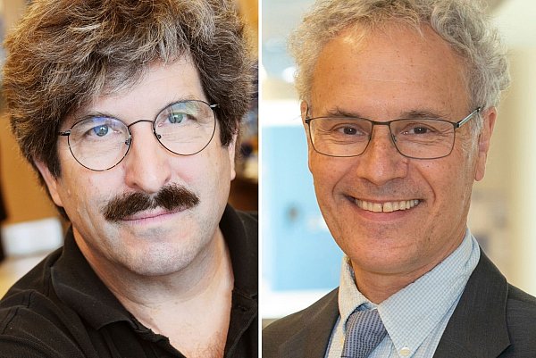 Diese Kombination von Bildern zeigt die US-Forscher Gary Ruvkun (l) und Victor Ambros. Der Nobelpreis für Medizin geht an sie für die Entdeckung der microRNA und ihrer Rolle bei der Genregulierung. - © -/Mass General,UMass/AP/dpa