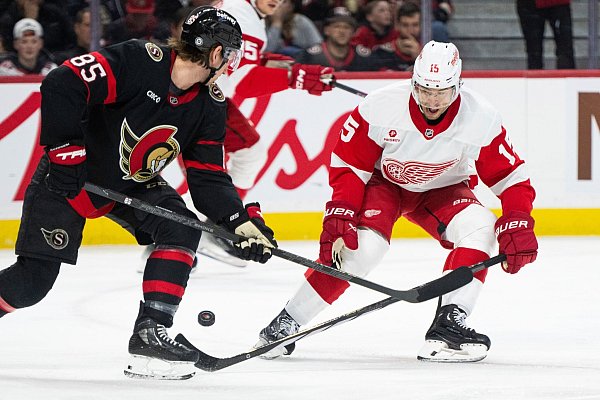 Die Senators haben gute Chancen auf die Playoff-Teilnahme. - © Spencer Colby/The Canadian Press via AP/dpa