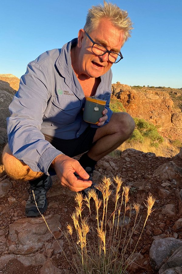 Vickers beobachtet nicht nur gern Buckelwale, er erläutert auf seinen Touren auch die Pflanzenwelt. - © Stefan Weißenborn/dpa-tmn