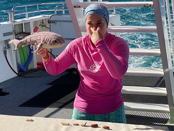 Immer die Augen auf: Anhand eines Stofftier-Walhais erläutert Georgia Clements die Verhaltensregeln beim Tauchen mit Walhaien. - © Stefan Weißenborn/dpa-tmn