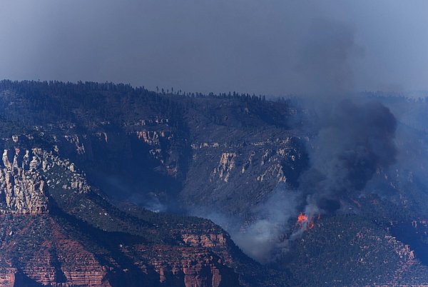 Die Flammen zeigen den Angaben zufolge «extremes Brandverhalten». - © Jon Gambrell/AP/dpa