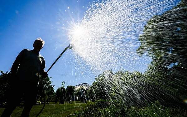 Auch in manchen Gärten ist der Wasserbedarf schon groß. - © Julian Stratenschulte/dpa