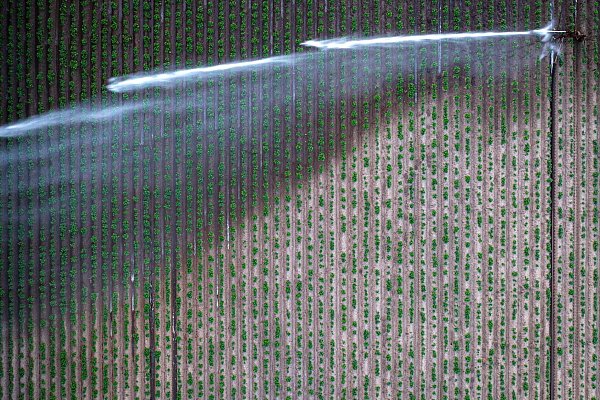 Bewässern ist teuer - derzeit aber vielfach nötig. - © Sina Schuldt/dpa