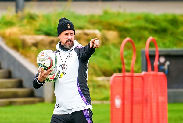 Sandro Wagner - © Andreas Arnold/dpa