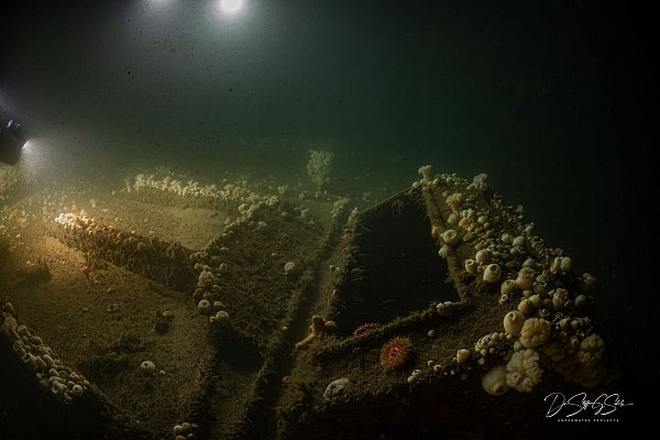 Das Team von «ProjectXplore» hat es sich zum Ziel gesetzt, historisch bedeutsame Schiffswracks zu finden. - © Dr. Steffen G. Scholz/ProjectXplore /dpa