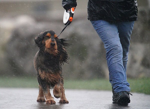 In Teilen von Wales galt die stärkste Wetterwarnung: «Lebensgefahr». - © Ben Birchall/PA Wire/dpa