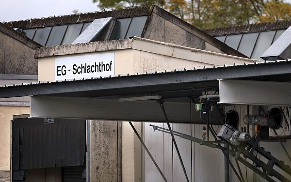 Seit dem Sommer 2023 ist der Schlachthof Aschaffenburg in den Schlagzeilen. - © Karl-Josef Hildenbrand/dpa