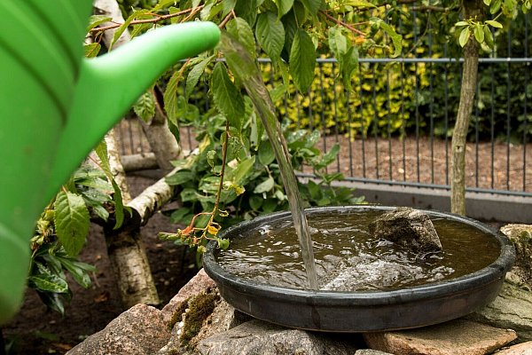 Breite, flache Wasserschalen im Garten bieten Wildtieren sicheren Zugang zu Trink- und Badeplätzen. - © Christin Klose/dpa-tmn
