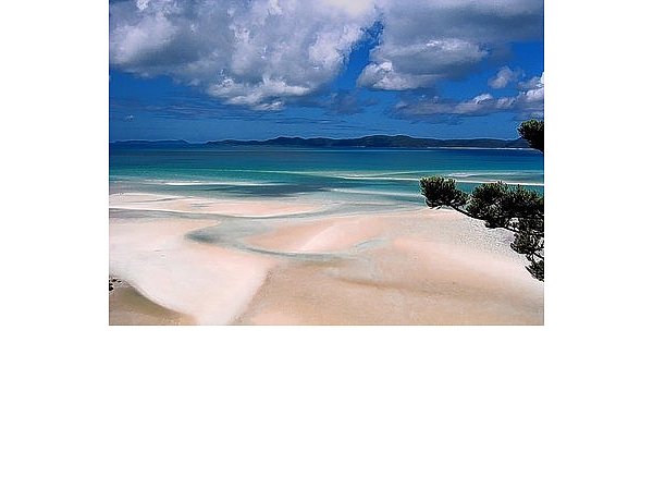 Whitehavenbeach gehört zu den Whitsundays, einer Gruppe mit 74 kleinen Inseln. - © FOTO: PRIVAT