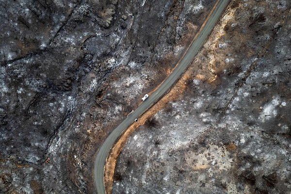 Der weltweite Schaden durch Flächenbrände hat seit 2015 stark zugenommen. (Archivbild) - © Lionel Bonaventure/AFP/dpa