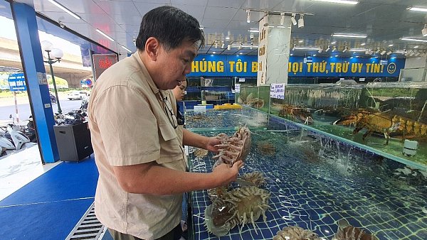 Professor Peter Ng untersucht Riesenasseln auf einem Fischmarkt in Hanoi in Vietnam. - © Nguyen Thanh Son/Pensoft Publishers/dpa