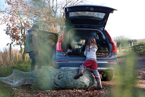 Ein Erlebnis für die ganze Familie: Den passenden Weihnachtsbaum fürs Wohnzimmer aussuchen. - © Mascha Brichta/dpa-tmn