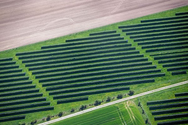 Die gut 19.000 Freiflächenanlagen haben oft eine hohe Leistung. (Archivbild) - © Pia Bayer/dpa