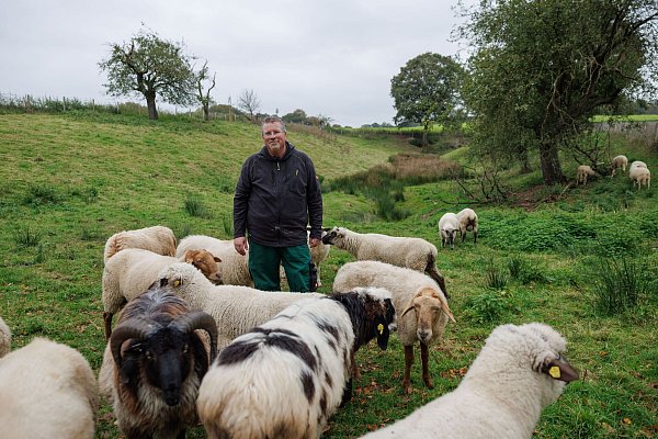 Michael Stücke ist der Hüter der nach seinen Angaben ersten schwulen Schafherde Deutschlands (Foto aktuell). - © Friso Gentsch/dpa