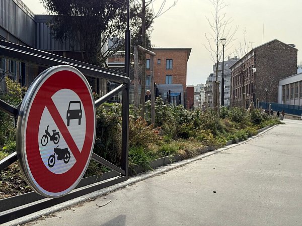 Bei der Abstimmung ging es auch darum, dass die Straßen begrünt werden sollen. (Archivbild) - © Rachel Boßmeyer/dpa