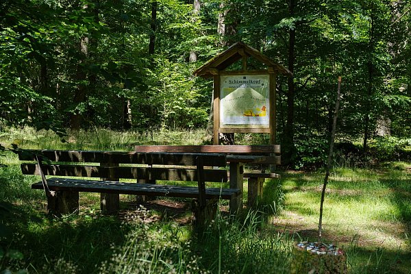 Der Schimmelkopf ist 694,8 Meter hoch, der Dollberg bei Nohfelden aber 695,4 Meter. Sechzig Zentimeter höher. - © Oliver Dietze/dpa