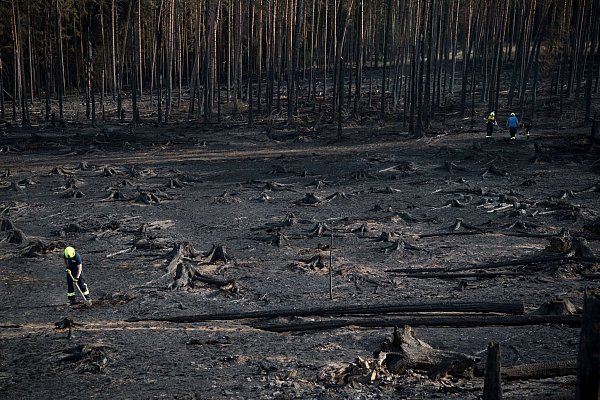 Auf der Saalfelder Höhe in Thüringen konnten die Einsatzkräfte über Nacht eine Ausbreitung verhindern. - © Daniel Vogl/dpa