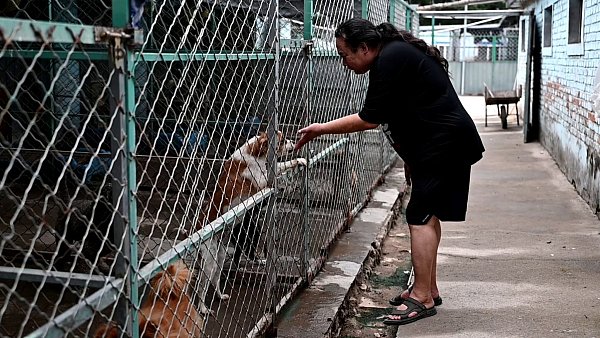 Zhao Xinqi betreibt einen Hof mit 500 Hunden - viele davon wurden gerettet. - © Johannes Neudecker/dpa