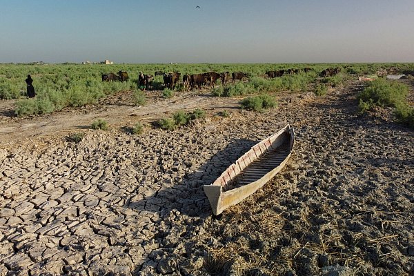 Der südliche Irak könnte wegen Wasserknappheit bald unbewohnbar werden. - © Nabil al-Jurani/AP/dpa