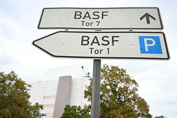 Der BASF-Vorstand «Der Preisdruck nimmt ein wenig ab. Wir richten den Blick nach oben», sagte Finanzvorstand Dirk Elvermann - © Uwe Anspach/dpa