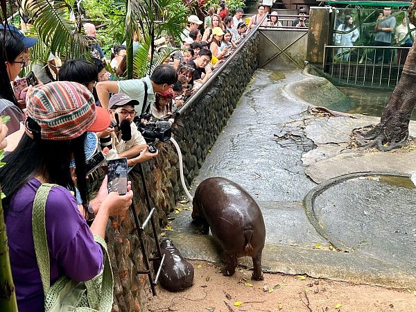Das Hippo-Mädchen lockt jeden Tag Tausende Besucher. - © Carola Frentzen/dpa