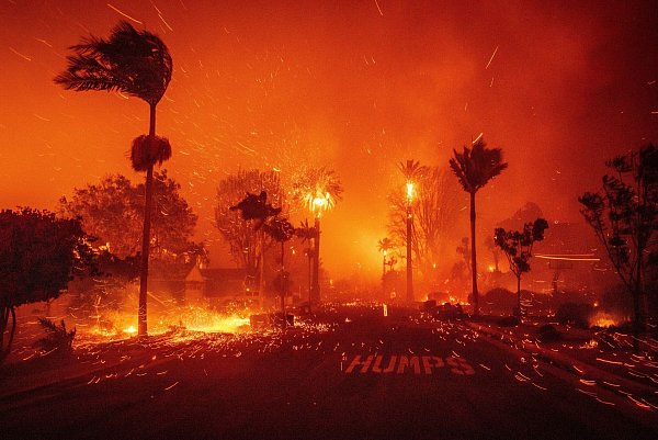 Drei von fünf Feuern konnten die Einsatzkräfte bis jetzt noch überhaupt nicht unter Kontrolle bringen. - © Ethan Swope/FR171736 AP/dpa