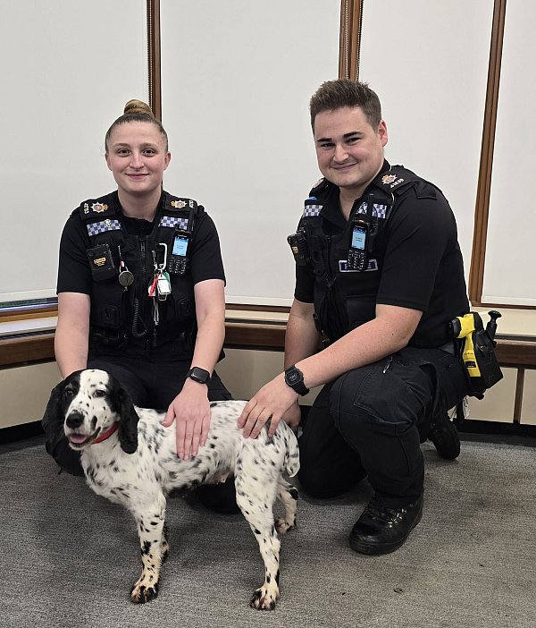 Die Polizei wurde auf den Hund aufmerksam, als jemand die Microchip-Daten änderte. - © Surrey Police/PA Media/dpa