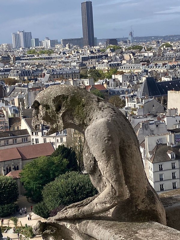 Chimären, die steinernen Mischwesen wachen über Notre-Dame. - © Sabine Glaubitz/dpa
