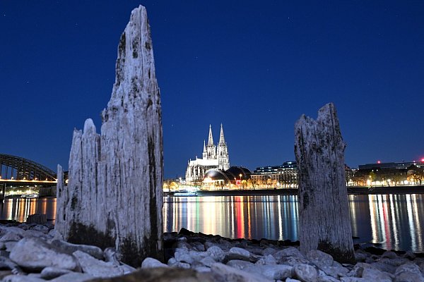 Teile einer Holzkonstruktion, die normalerweise unter Wasser liegen, sind am Rhein gegenüber vom Kölner Dom zu sehen. - © Federico Gambarini/dpa