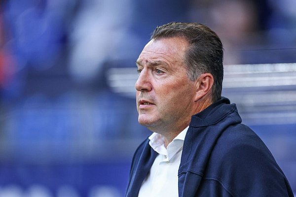 Schalkes Sportdirektor Marc Wilmots muss wohl auch gehen. - © Tim Rehbein/dpa