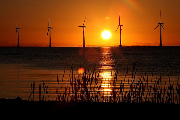 In Sachen Klimawende gilt Europa als weltweiter Vorreiter. (Illustration) - © Steffen Trumpf/dpa