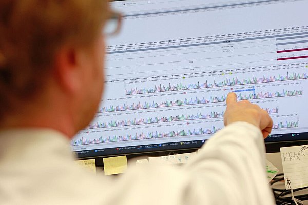 Analysiert wurde das Blut von Forschern der Universität Göttingen. - © Matthias Bein/dpa