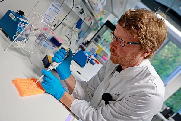 Die DNA-Analyse hat ergeben, dass Flumo ein Schaf ist. - © Matthias Bein/dpa