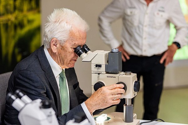 Man kann sie nur unter dem Mikroskop sehen: Die neue Bärtierchenart «Ramazzottius kretschmanni». - © Philipp von Ditfurth/dpa