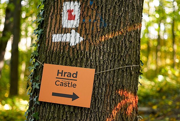 Wer nicht den direkten Weg gehen will, nimmt einen Abstecher durch ein Waldstück zur mittelalterlichen Burganlage im slowakischen Trencin. - © Michael Heitmann/dpa-tmn