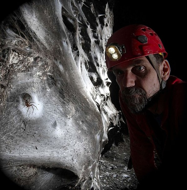 Ein Wissenschaftler vor dem riesigen Spinnennetz - © Marek Audy/Urak et al. 2025, Subterranean Biology, CC BY 4.0/dpa