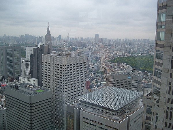 Der Blick auf Tokio.