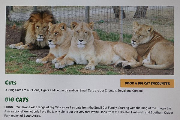 In dem Zoo leben verschiedene Raubkatzen, neben Löwen auch Leoparden und Geparden. - © Rounak Amini/AAP/dpa