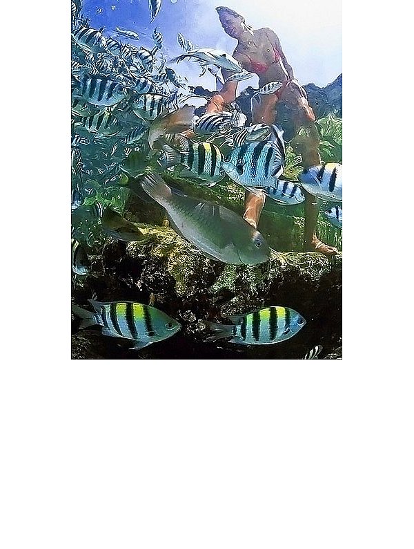 Ein wenig Brot reicht aus, um vor Palawan jede Menge Fische anzulocken. - © FOTO: DPA PICTURE-ALLIANCE