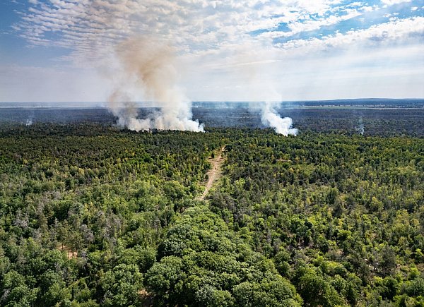 Rauch steigt in der Gohrischheide in den Himmel. - © Robert Michael/dpa