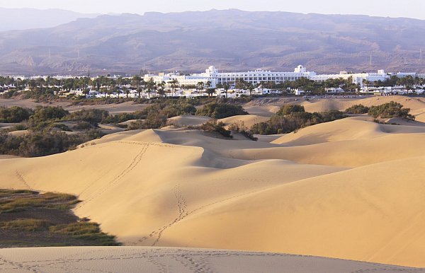 Gran Canaria: Die Dünenstrände in Maspalomas geben eine spektakuläre Kulisse. - © Manuel Meyer/dpa-tmn