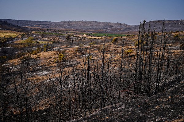 16.000 Hektar Fläche wurden von dem Waldbrand in Südfrankreich in Mitleidenschaft gezogen. - © Manu Fernandez/AP/dpa