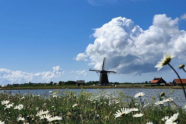 Windmühle in Heet Noorden: Auch Texel bietet typische holländische Gebäude. - © Karin Willen/dpa-tmn