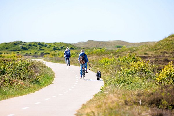 Durch Dünenlandschaft geht es, aber nicht nur auf den insgesamt 140 Kilometer an Radwegen. - © Iris Borst/VVV Texel/dpa-tmn