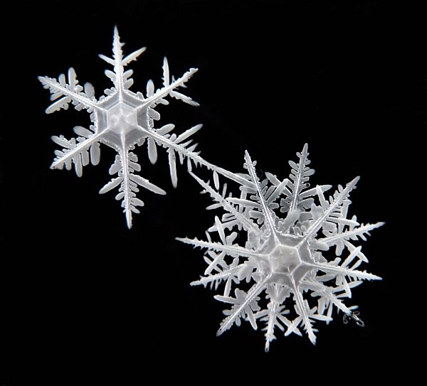 Die Schneeflocken haben sehr unterschiedliche Strukturen. - © Hoffmann/Cryosity/dpa