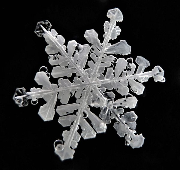 Schneeflocken haben sehr feine Strukturen. - © Hoffmann/Cryosity/dpa